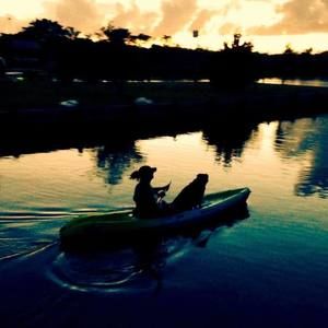 Meet your Posher, Connie